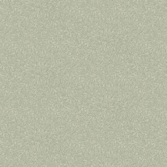 Salix Alba Wallpaper - Sage - Boråstapeter - 7787 - Premier Wallcovering