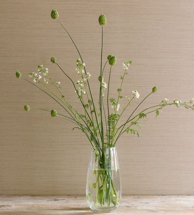 Sandrine Wallpaper - Cream - Colefax & Fowler - 07179/02