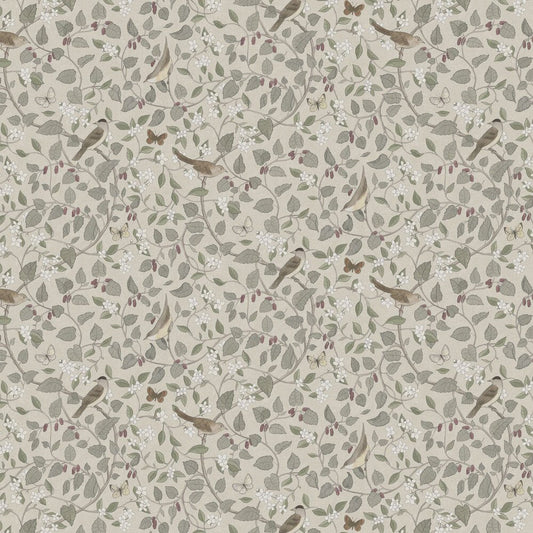 Sangfaglar Wallpaper - Beige - Boråstapeter - 2056 - Premier Wallcovering