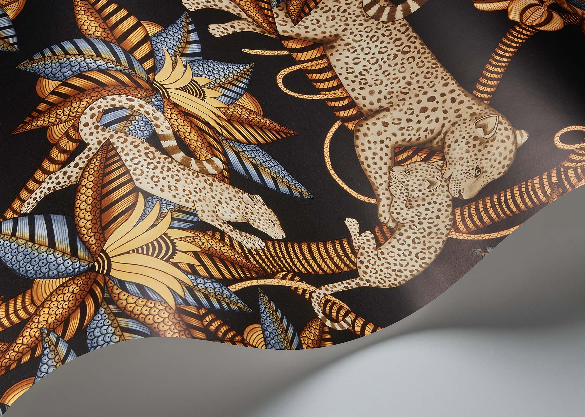 Satara Wallpaper - Burnt Orange & Sand on Black - 119/3017 - Cole & Son - Premier Wallcovering