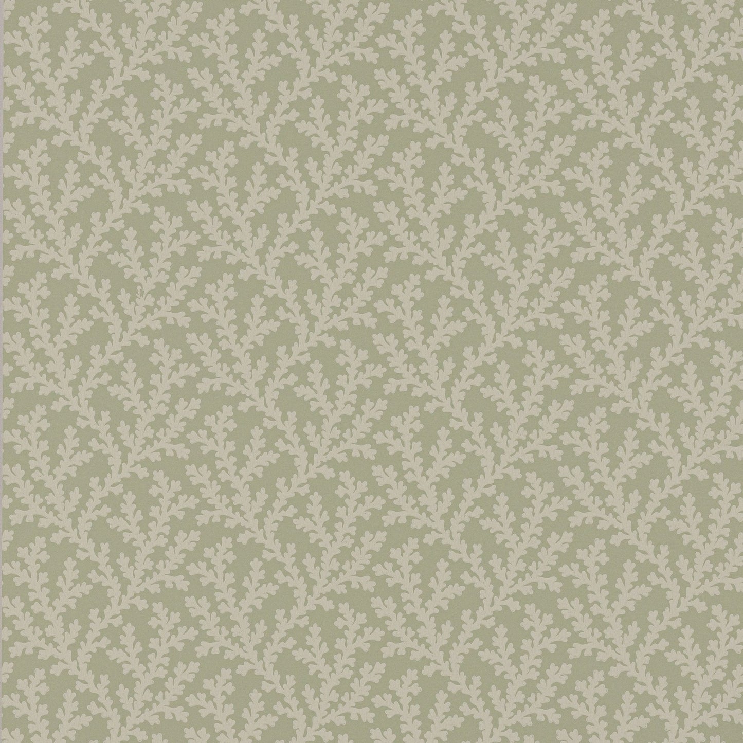 Sea Coral Wallpaper - Willow - Colefax & Fowler - W7020 - 04