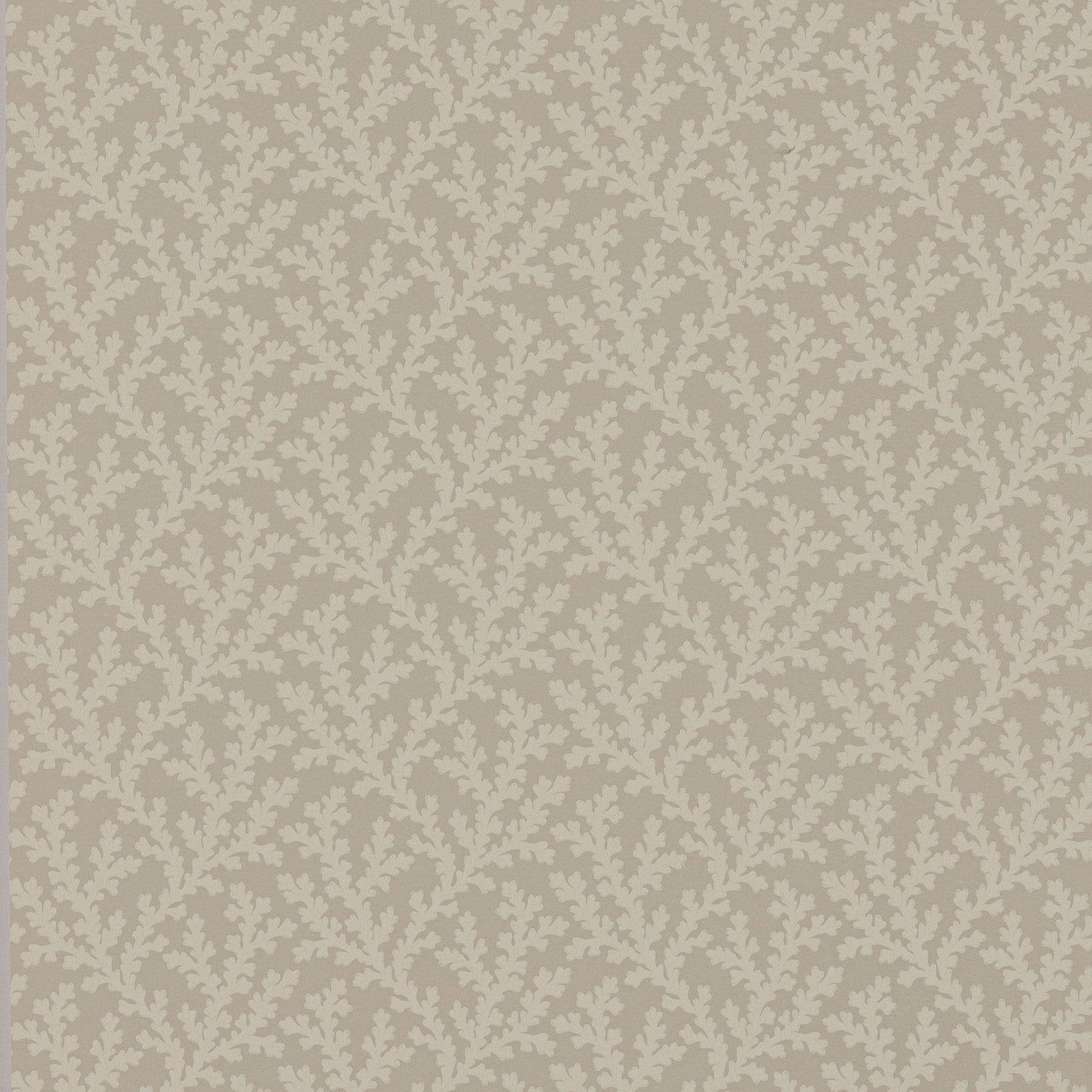 Sea Coral Wallpaper - Beige - Colefax & Fowler - W7020 - 03