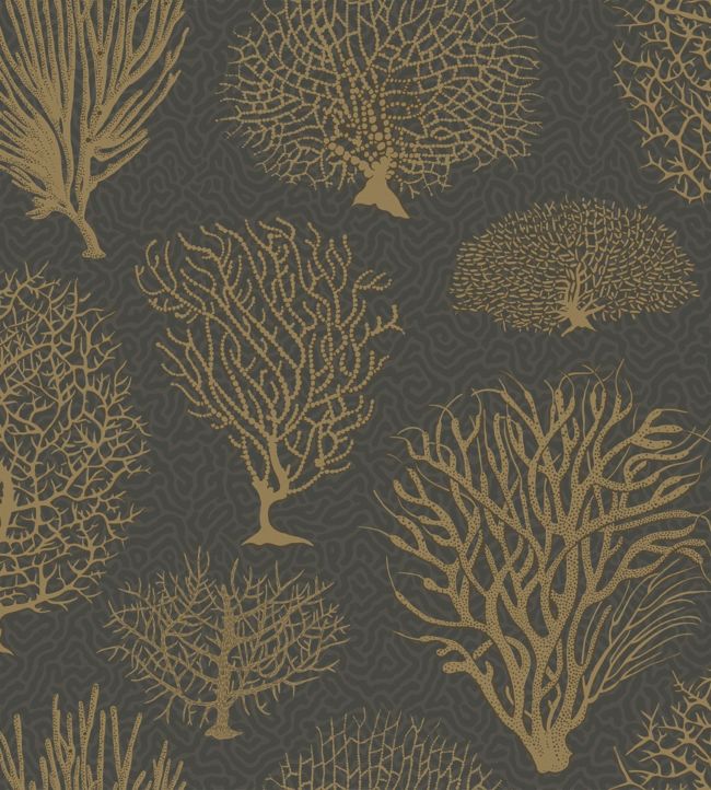 Seafern Wallpaper - Metallic Gold on Charcoal - 107/2006 - Cole & Son - Premier Wallcovering