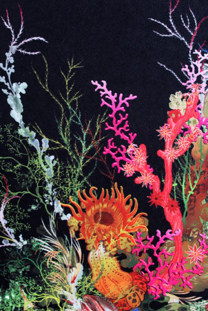 Seaweed And Shell Wallpaper - Black - Timorous Beasties - SSC/SWS/STCB/01 - Premier Wallcovering