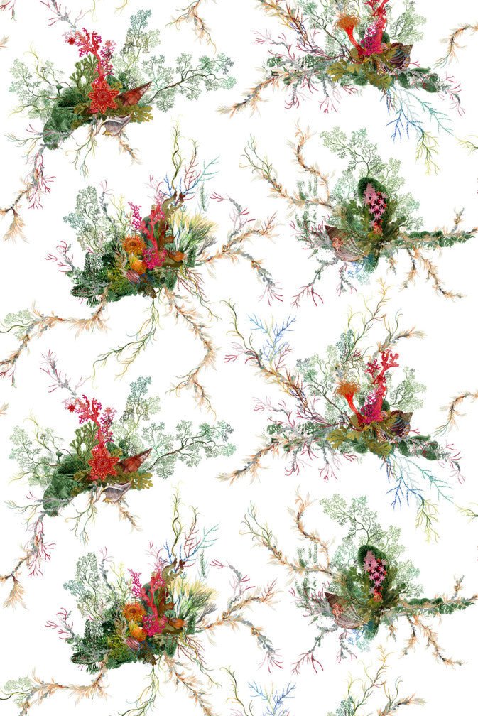 Seaweed And Shell Wallpaper - White - Timorous Beasties - SSC/SWS/STCB/02 - Premier Wallcovering