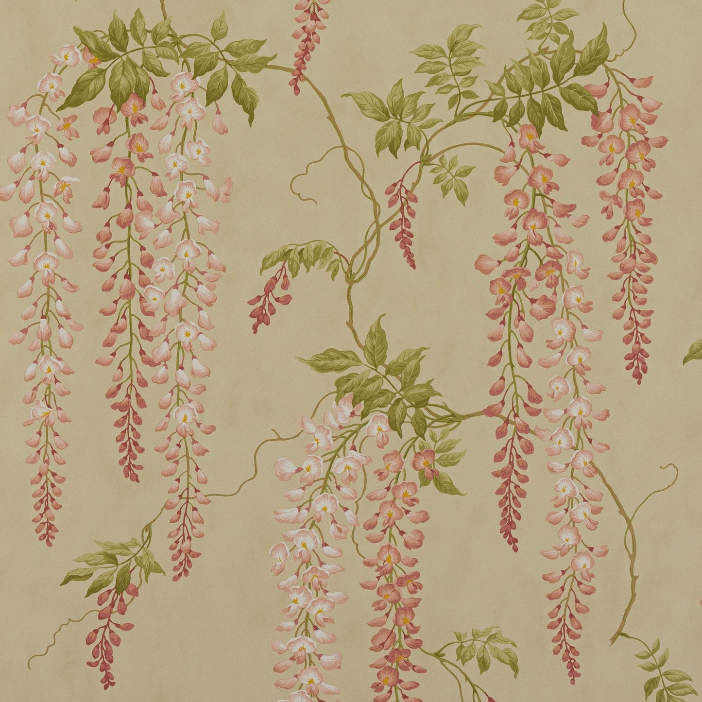 Seraphina Wallpaper - Pink - Colefax & Fowler - 07157/01