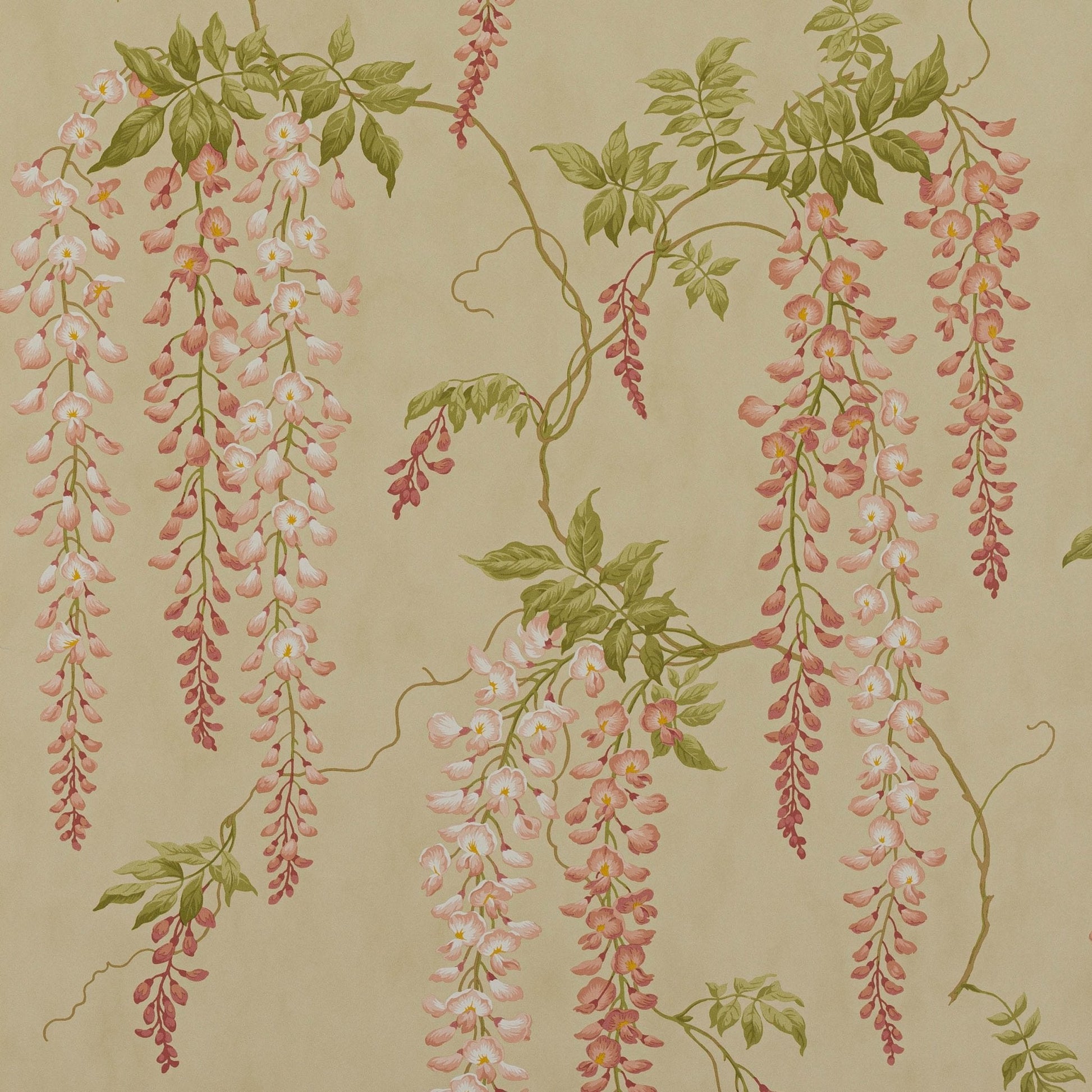 Seraphina Wallpaper - Pink - Colefax & Fowler - 07157/01