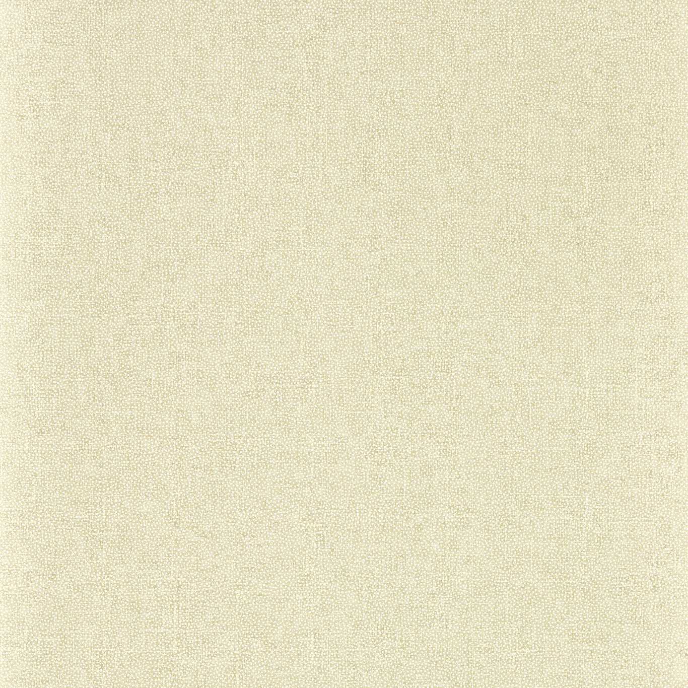 Sessile Plain Wallpaper - Birch - DABW217246 - Sanderson