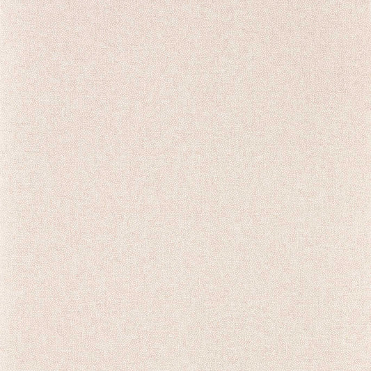 Sessile Plain Wallpaper - Wild Rose - DABW217244 - Sanderson