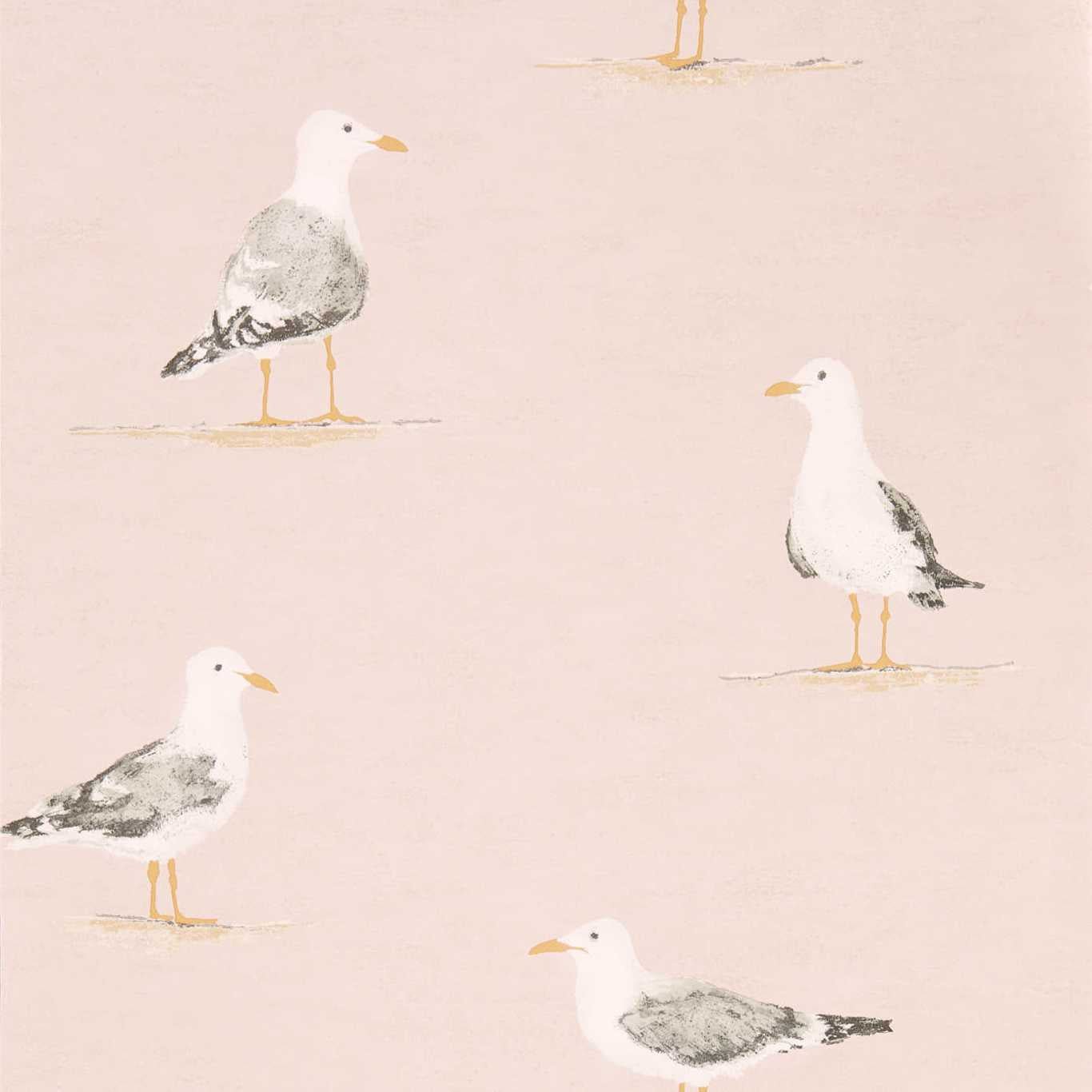 Shore Birds Wallpaper - Blush - Sanderson - DCOA216562