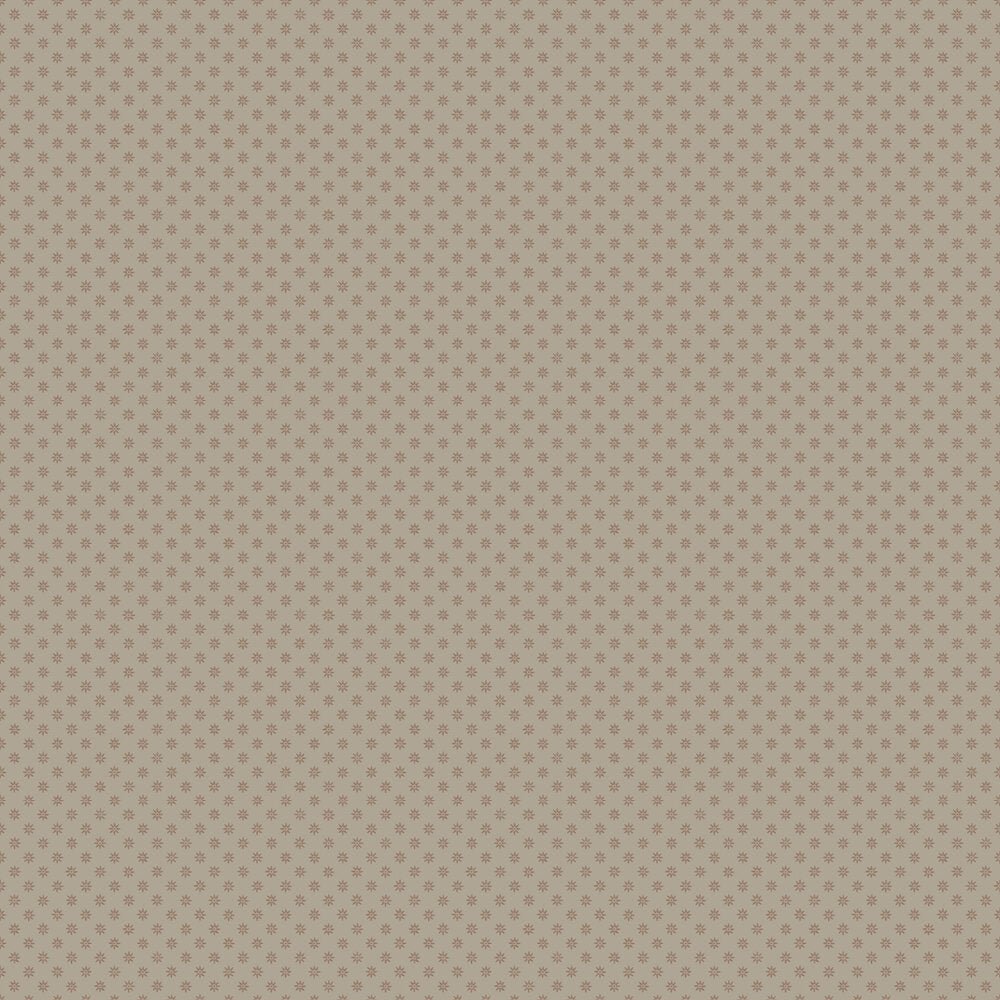 Skogsstjarna Wallpaper - Brown - Boråstapeter - 5806 - Premier Wallcovering