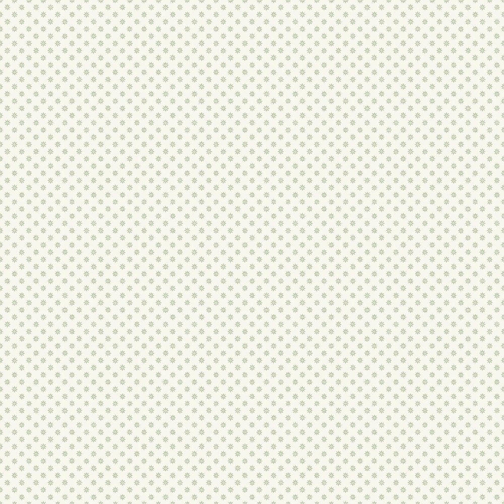 Skogsstjarna Wallpaper - Green - Boråstapeter - 5809 - Premier Wallcovering