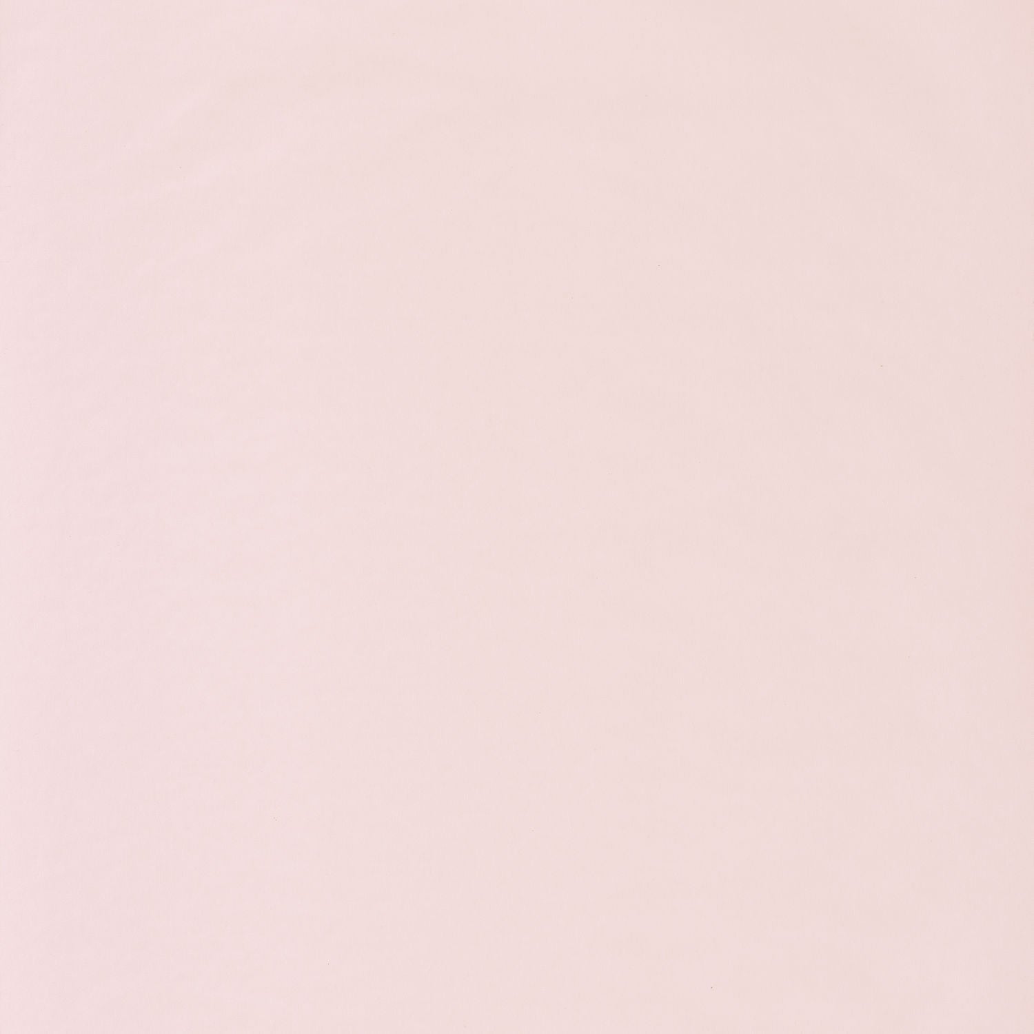 Smile Uni Once Upon A Time Wallpaper - Coquille - Casadeco - 69861001 - Premier Wallcovering