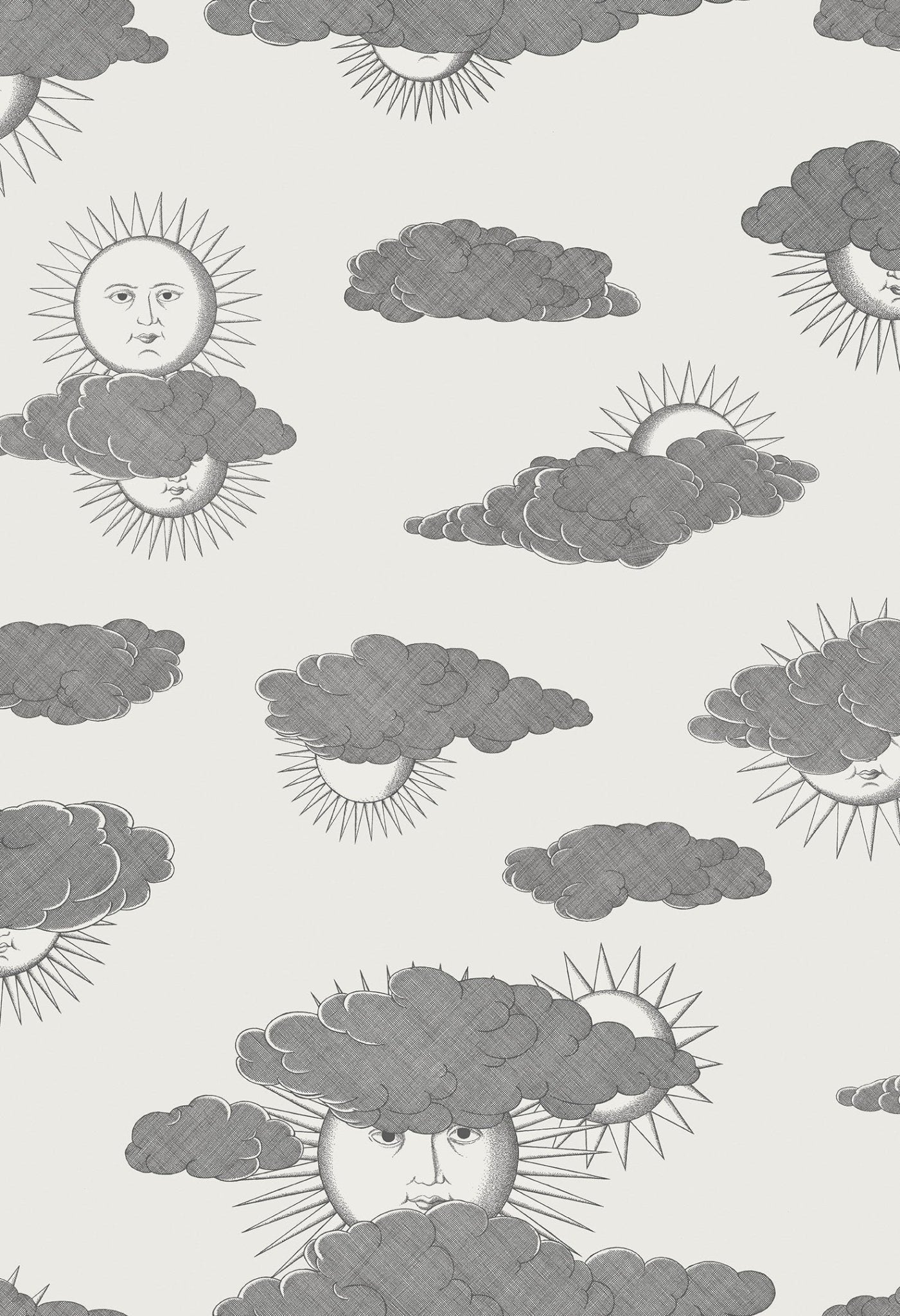 Soli e Nuvole Wallpaper - Black & White - 123/2007 - Cole & Son - Premier Wallcovering