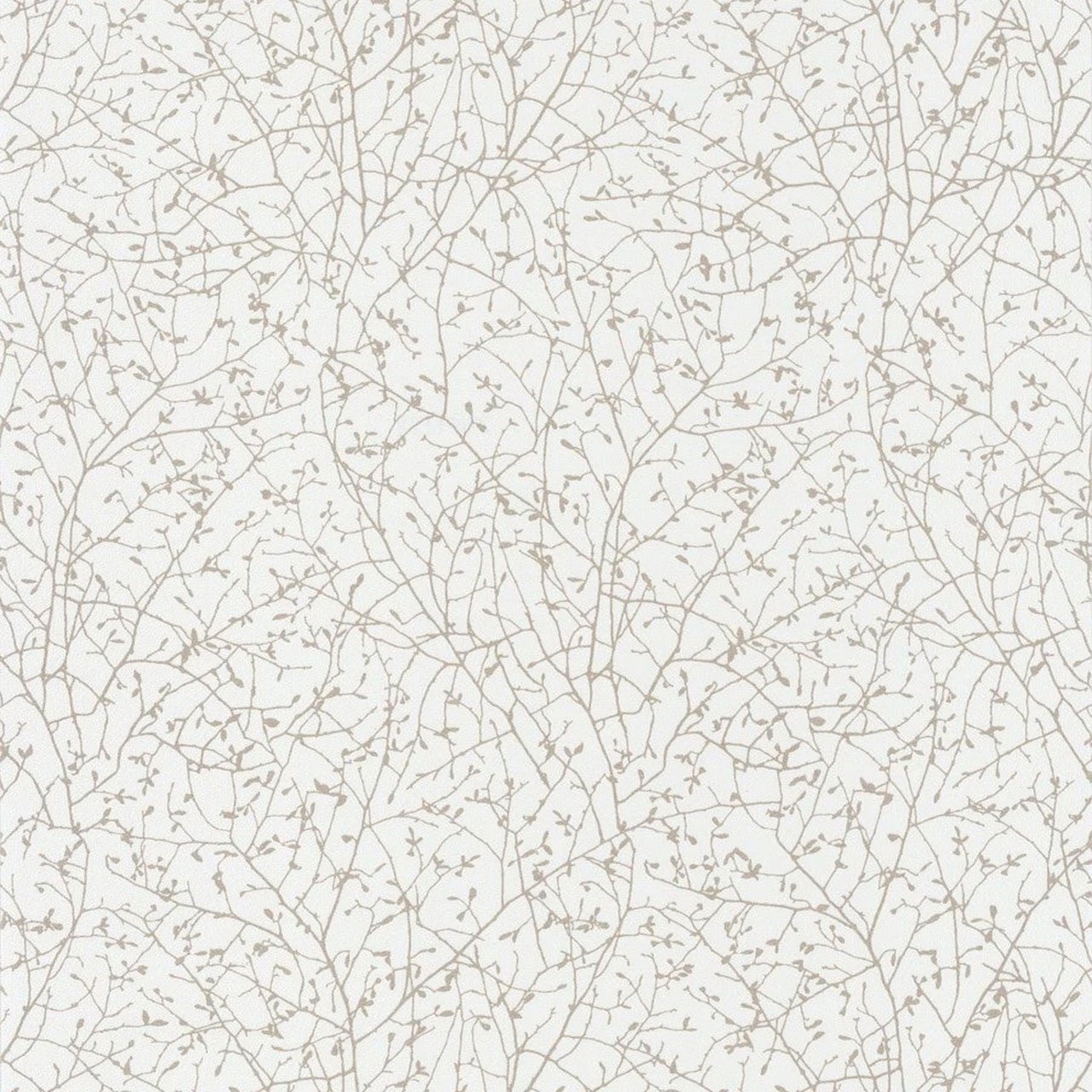 Spring Flower Wallpaper - Beige / Blanc - Casadeco - 83770108 - Premier Wallcovering