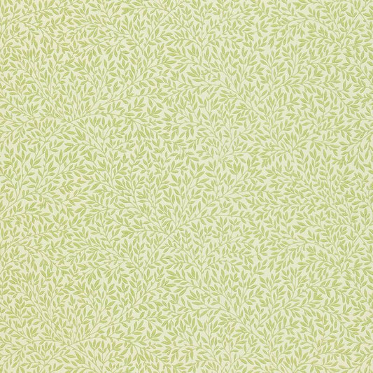 Standen Wallpaper - Fennel - Morris & Co - 210469