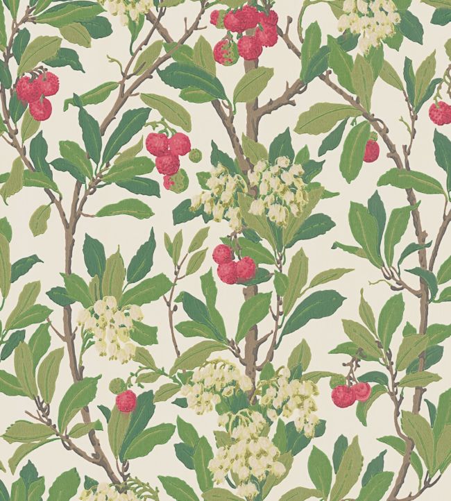 Strawberry Tree Wallpaper - Olive, Red & Leaf Green on White - 100/10049 - Cole & Son - Premier Wallcovering