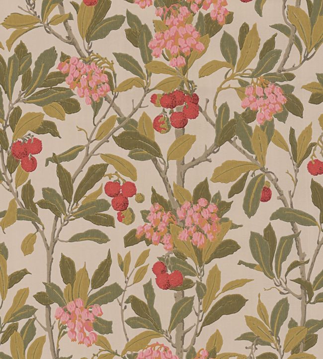 Strawberry Tree Wallpaper - Fuchsia, Red & Olive on Safari - 100/10047 - Cole & Son - Premier Wallcovering