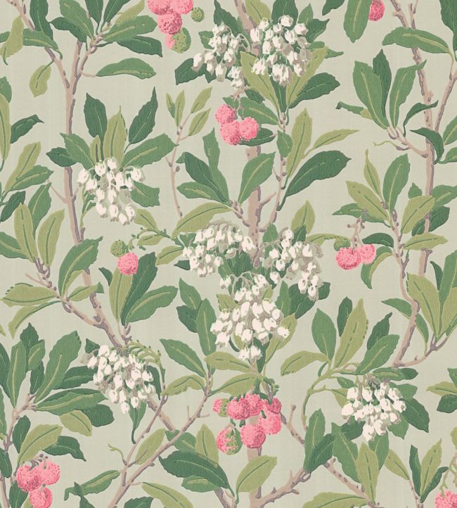 Strawberry Tree Wallpaper - Chalk, Rose & Forest Green on Eau Du Nil - 100/10048 - Cole & Son - Premier Wallcovering