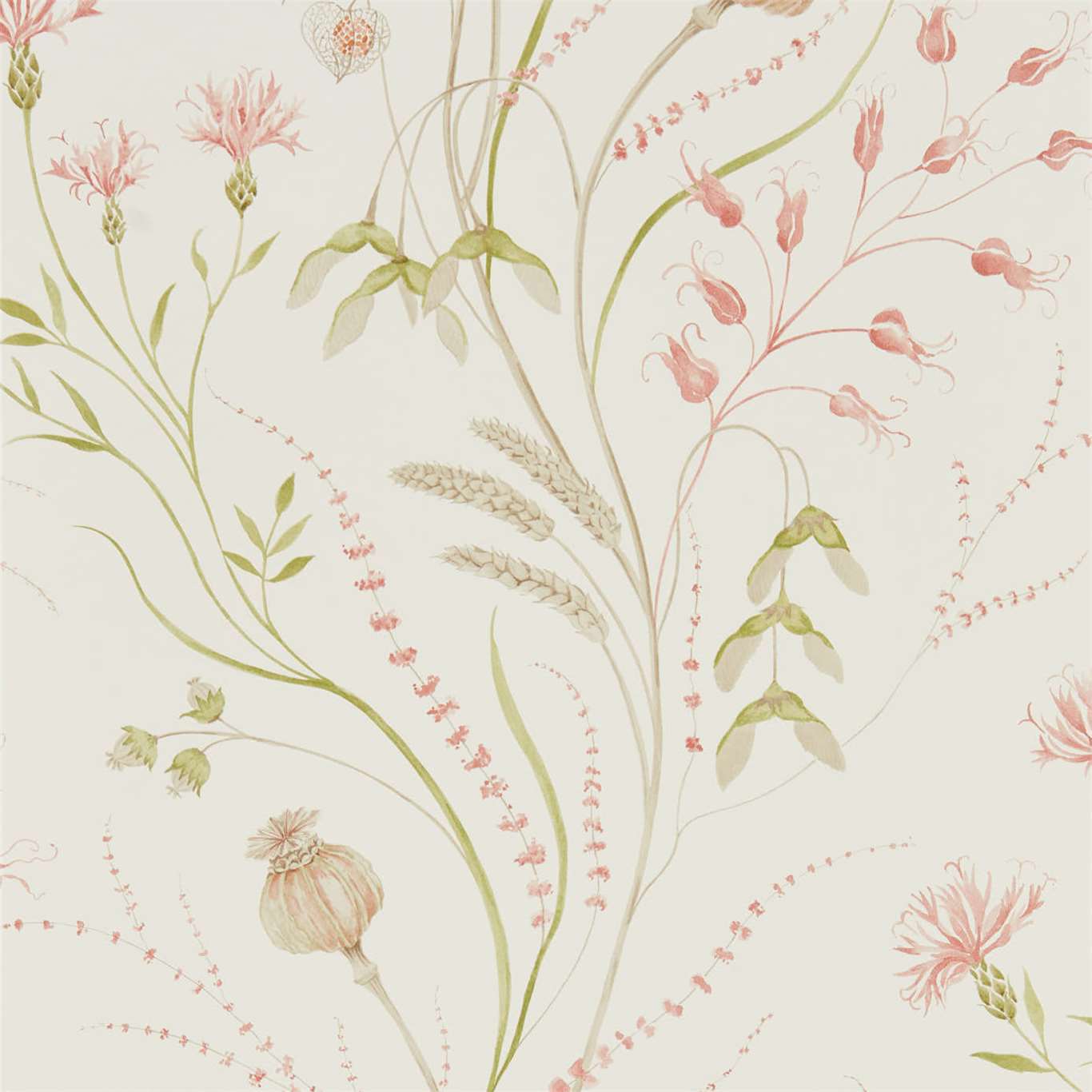 Summer Harvest Wallpaper - Claret/Olive - Sanderson - DEBB216495