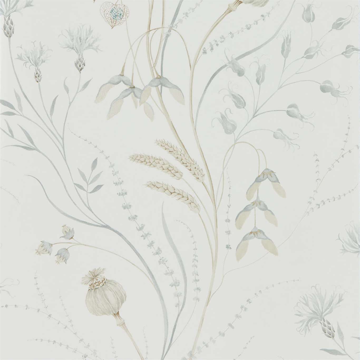 Summer Harvest Wallpaper - Silver/Chalk - Sanderson - DEBB216498
