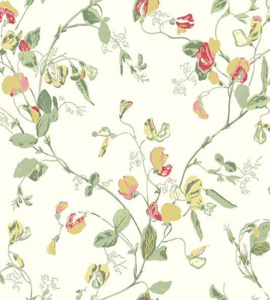 Sweet Pea Archive Anthology Wallpaper - Yellow & Coral on Cream - 100/6027 - Cole & Son - Premier Wallcovering