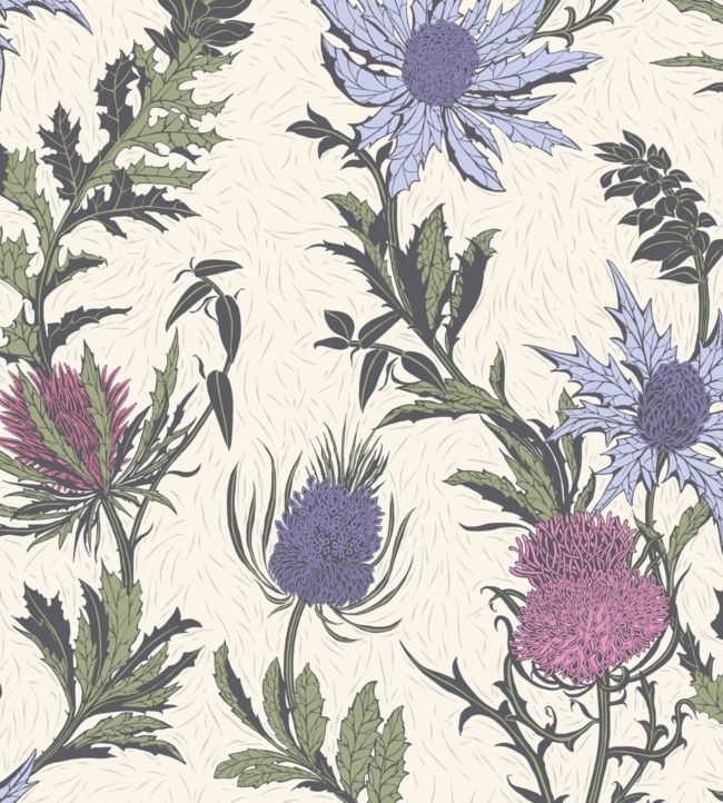 Thistle Wallpaper - Lilac & Cerise on White - 115/14044 - Cole & Son - Premier Wallcovering