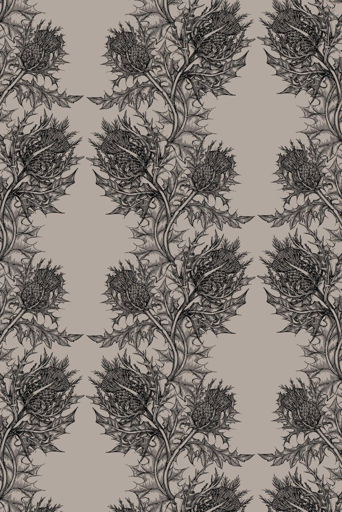 Thistle Wallpaper - Black on Stone - Timorous Beasties - HS/THL/4008/SNW - Premier Wallcovering