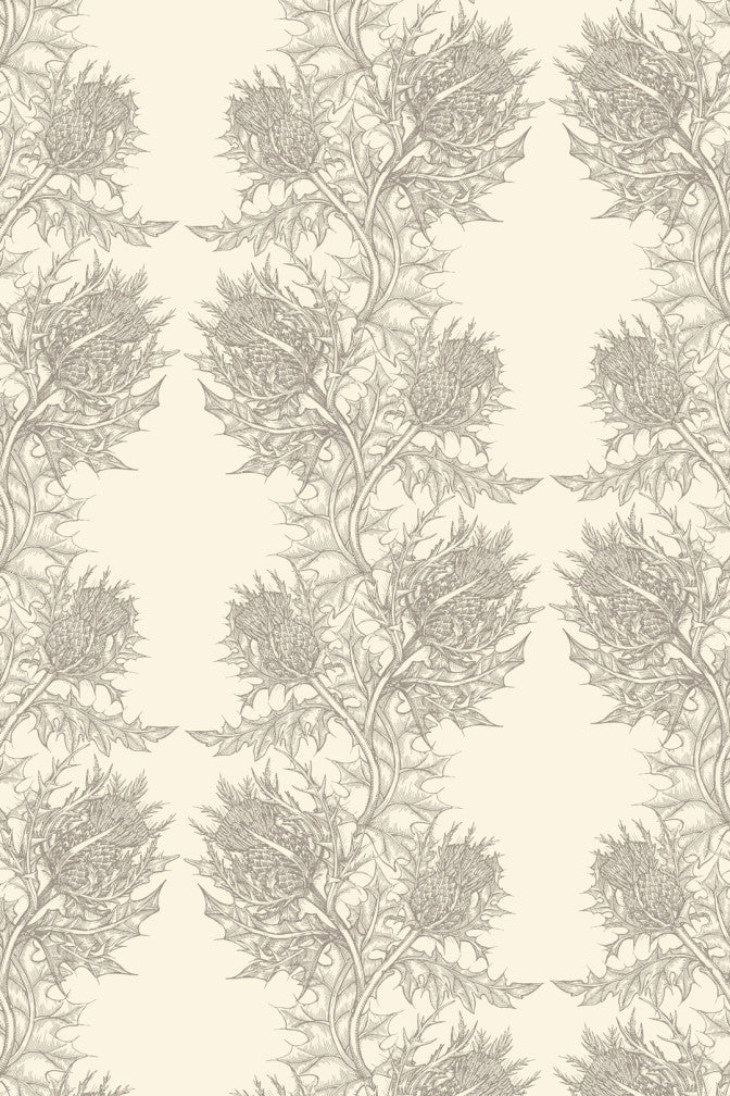 Thistle Wallpaper - Grey on Ivory - Timorous Beasties - HS/THL/5007/SNW - Premier Wallcovering