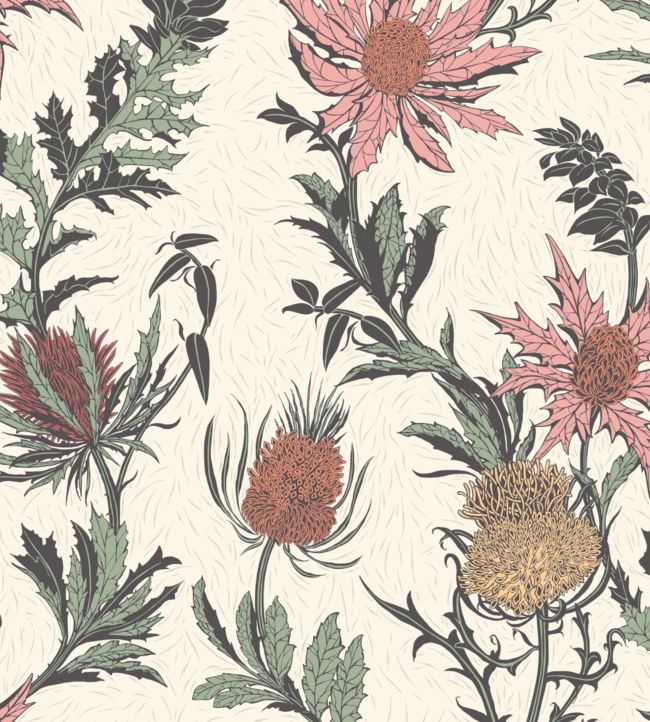 Thistle Wallpaper - Magenta & Orange on Parchment - 115/14043 - Cole & Son - Premier Wallcovering