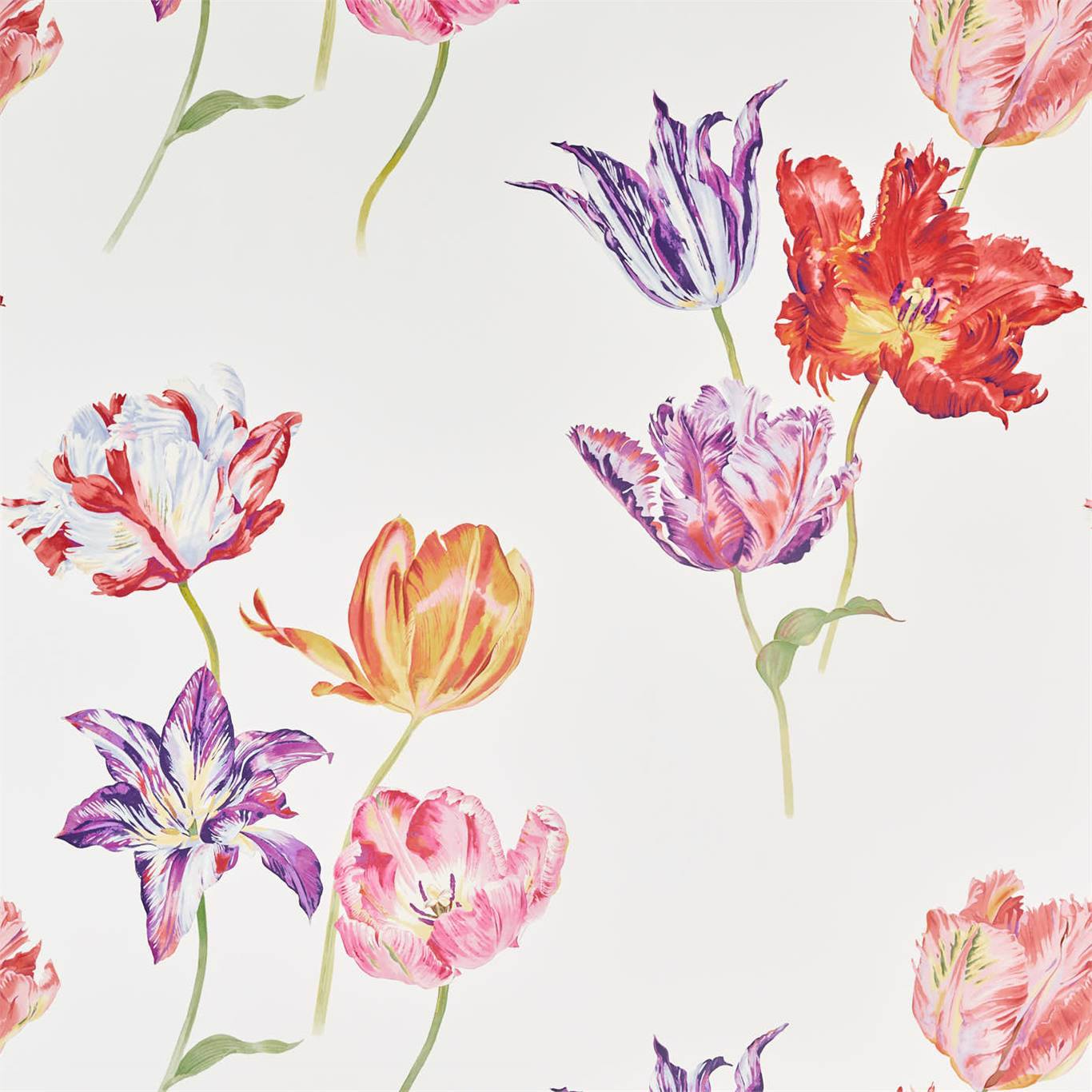 Tulipomania Wallpaper - Botanical - Sanderson - DGLW216666