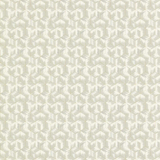 Tumbling Blocks Wallpaper - Empire Grey - ZRHW312891 - Zoffany