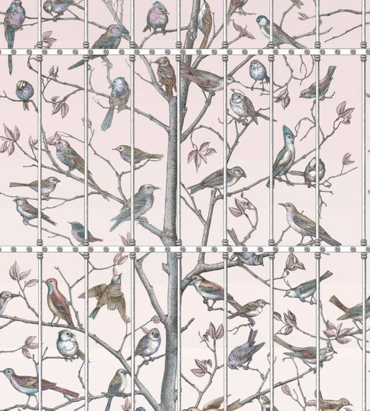 Uccelli Wallpaper - Ballet Slipper - 114/11022 - Cole & Son - Premier Wallcovering