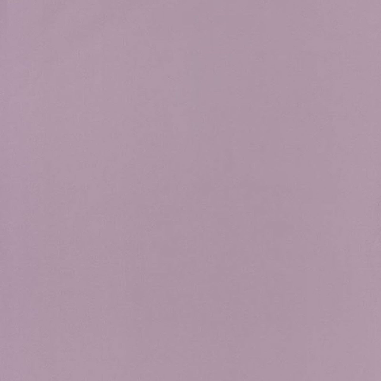 Uni Happy Dreams Wallpaper - Violet - Casadeco - 29695217 - Premier Wallcovering