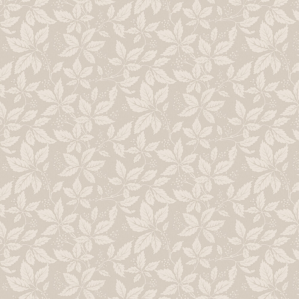 Vildvin Wallpaper - Neutral/ Brown - Boråstapeter - 2028 - Premier Wallcovering