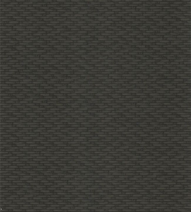 Weave Wallpaper - Black - 92/9043 - Cole & Son - Premier Wallcovering