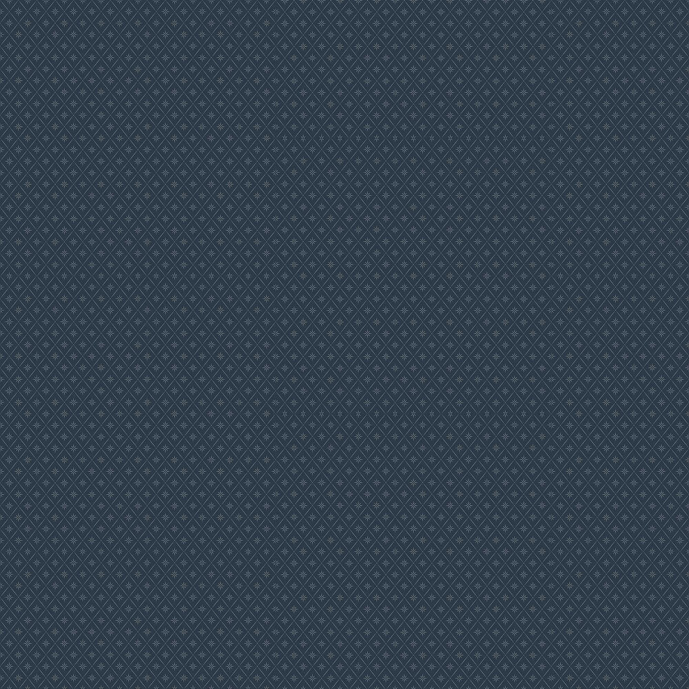 Windrose Wallpaper - Dark Blue - Boråstapeter - 8860 - Premier Wallcovering