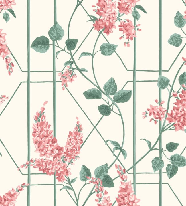 Wisteria Wallpaper - Coral & Sage on White - 115/5012 - Cole & Son - Premier Wallcovering
