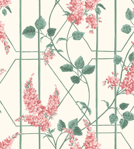 Wisteria Wallpaper - Coral & Sage on White - 115/5012 - Cole & Son - Premier Wallcovering