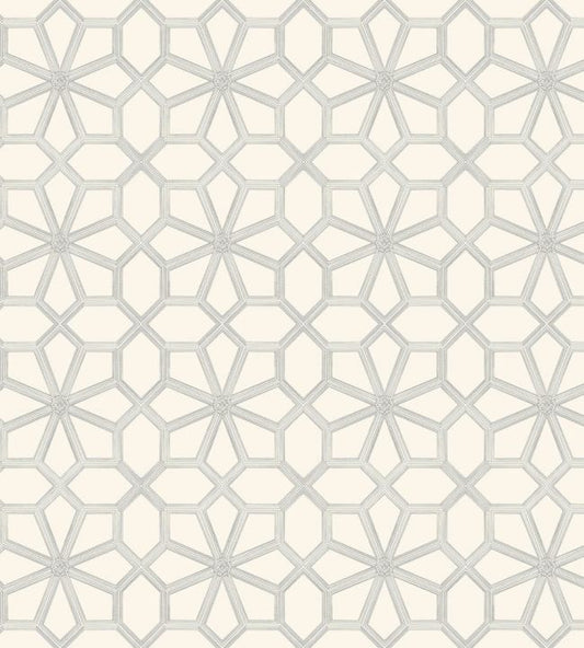Wolsey Stars Wallpaper - Soot on Snow - 118/16036 - Cole & Son - Premier Wallcovering