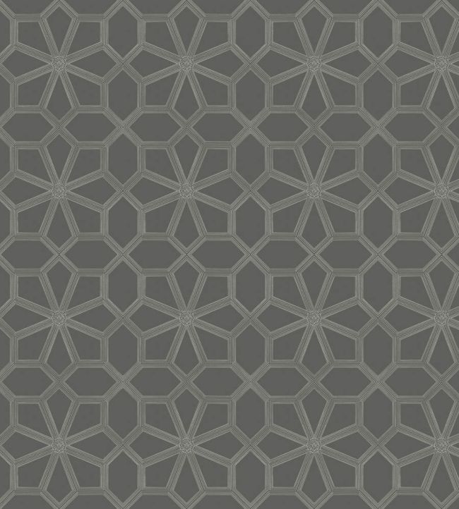 Wolsey Stars Wallpaper - Chalk on Charcoal - 118/16037 - Cole & Son - Premier Wallcovering