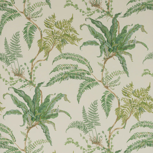 Woodfern Wallpaper - Green - Colefax & Fowler - W7015 - 01