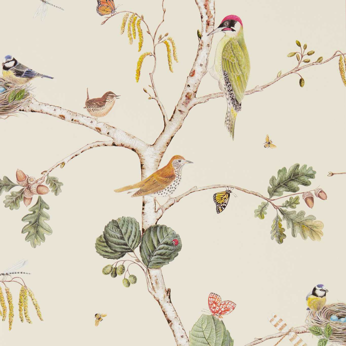 Woodland Chorus Wallpaper - Cream/Multi - DWOW215703 - Sanderson