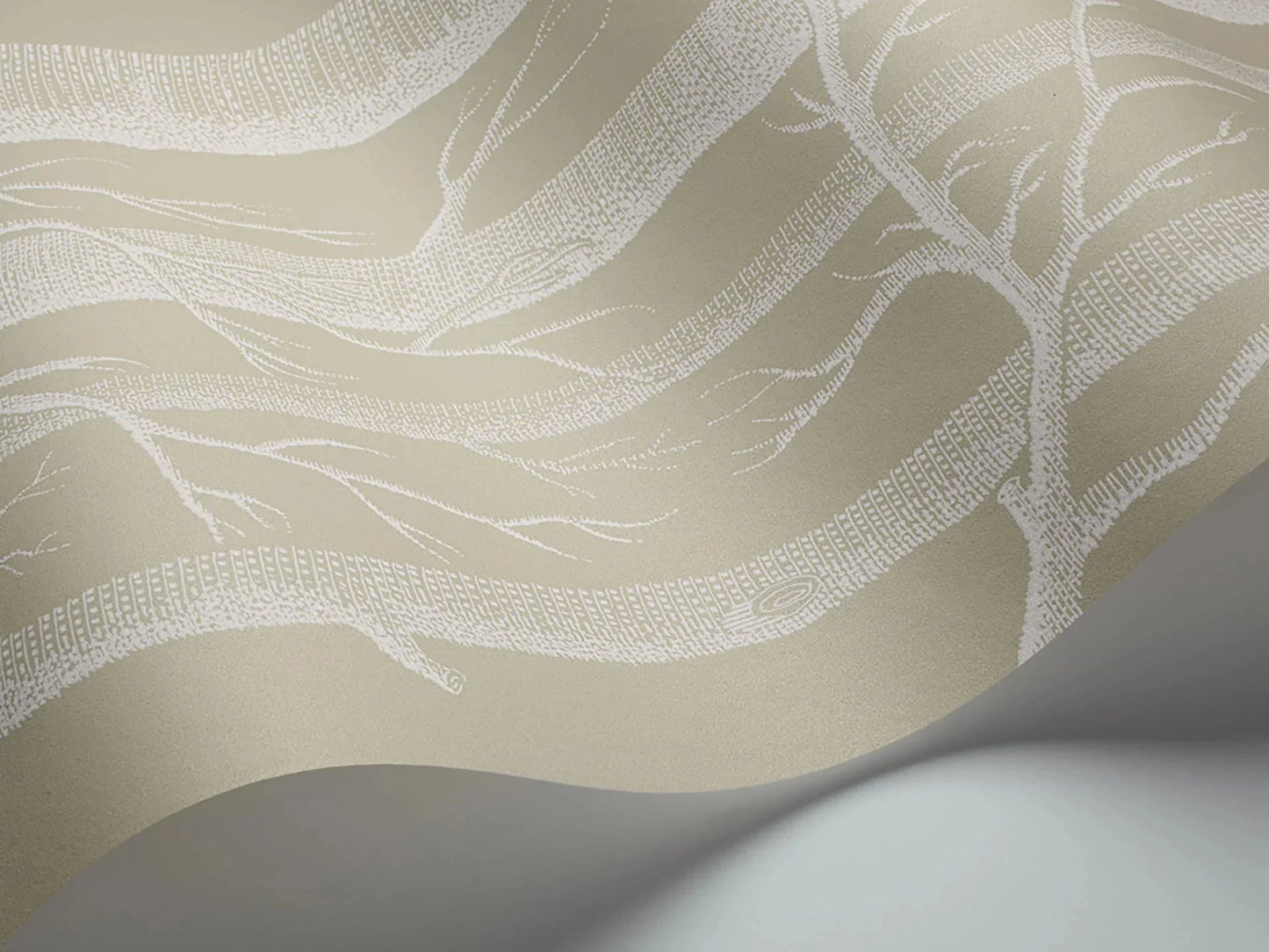 Woods Wallpaper - White on Old Olive - 69/12149 - Cole & Son - Premier Wallcovering