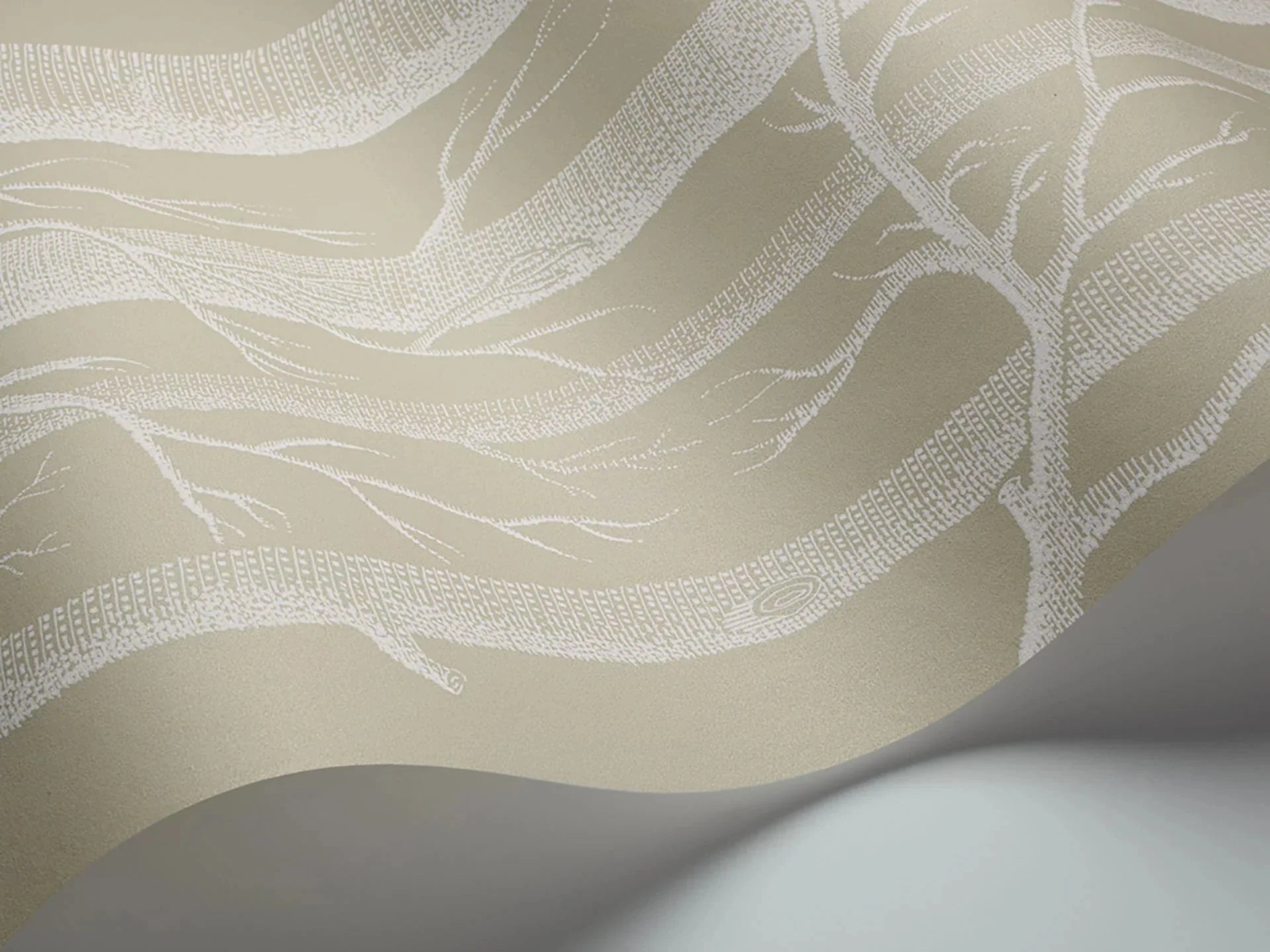 Woods Wallpaper - White on Old Olive - 69/12149 - Cole & Son - Premier Wallcovering