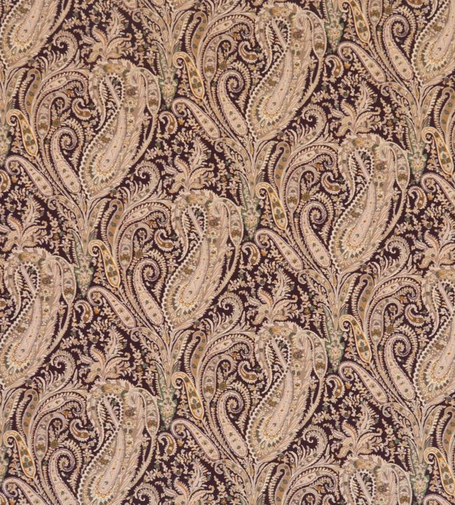Felix Raison in Cotton Velvet Fabric - Brown