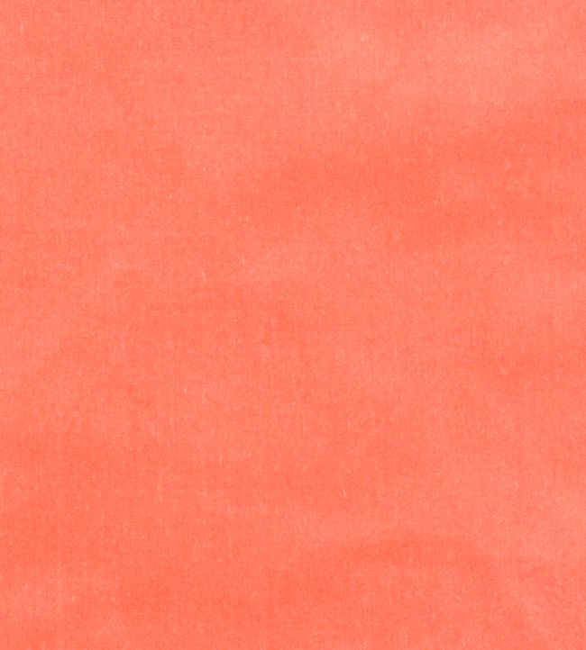 Cotton Velvet Plain Fabric - Orange 