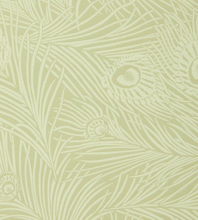 Hera Plume Room Wallpaper - Green