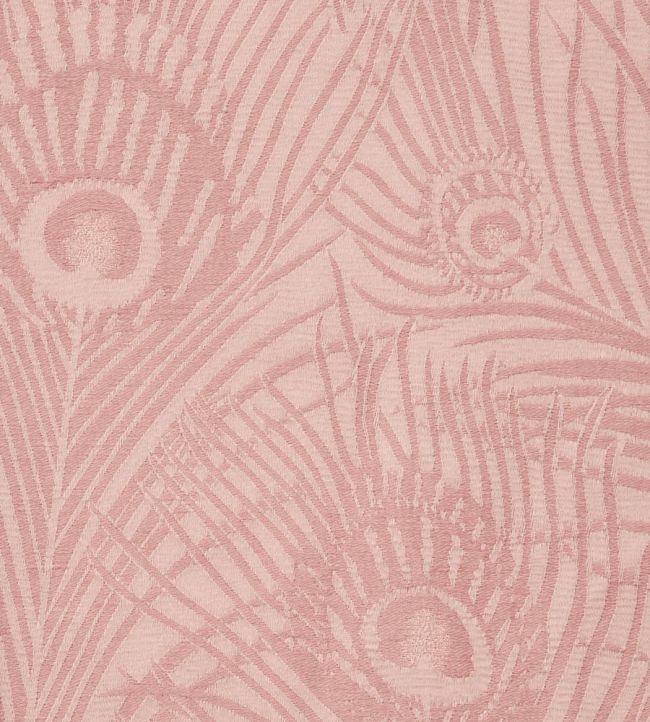 Hera Plume in Dyed Jacquard Fabric - Pink 