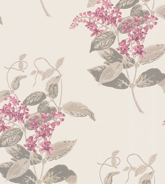 Madras Wallpaper - Pink - Cole & Son